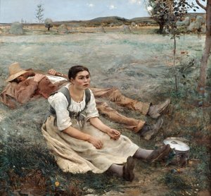 The Haymakers