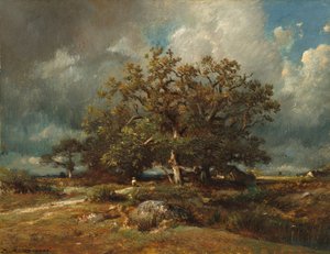 The Old Oak, c.1870