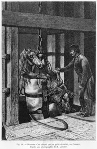 Horse being winched down the coalpit at Le Creusot, illustration from 
