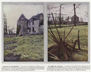 Chateau de Mondement, A Tree of the Chateau