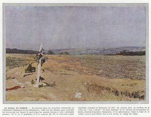 The Signal of the Pear Tree