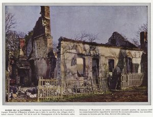 Ruins of the Savinerie