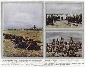 Tirailleurs Senegalais, Au Camp de Frejus, Les Faisceaux