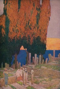 In the Cemetery of Eyub, on the Golden Horn by Jules Guerin