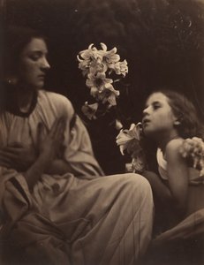 A Study by Julia Margaret Cameron
