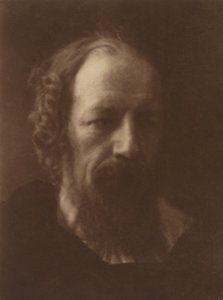 Alfred, Lord Tennyson, 1867, printed 1905 by Julia Margaret Cameron