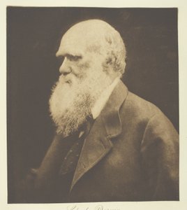Charles Darwin by Julia Margaret Cameron