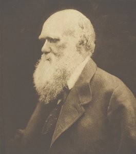 Charles Darwin by Julia Margaret Cameron