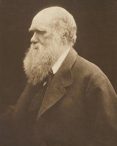 Charles Darwin by Julia Margaret Cameron