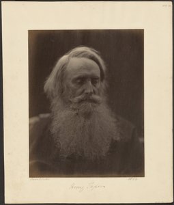 Henry Taylor by Julia Margaret Cameron
