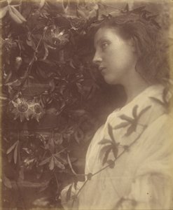 Maud There has Fallen a splendid Tear From the Passion Flower at the Gate by Julia Margaret Cameron