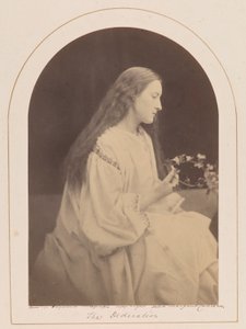 The Dedication [Hattie Campbell]