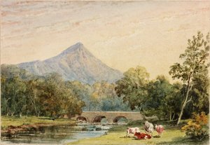 Sugarloaf Hill from Tynnahinch by Julia Swinburne