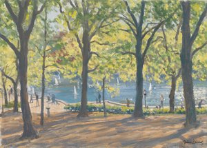 Central Park, New York