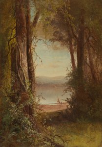 Looking upon the River