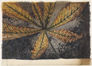 Chestnut Leaf