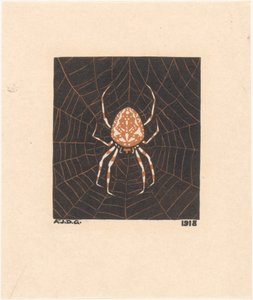 Spider in a Web