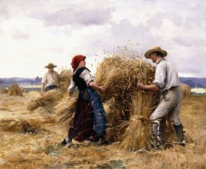 Stacking Hay