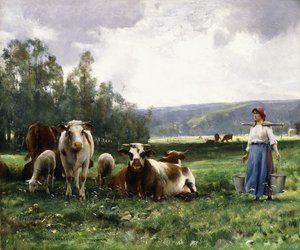 The Cow Pasture