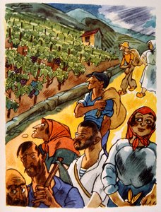 French Vineyard