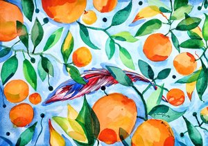 Vibrant Orange Garden