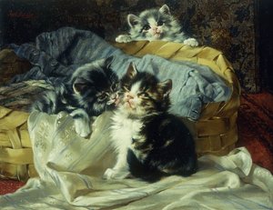 Playful Kittens