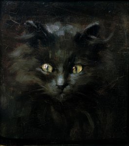 Portrait of a Cat by Julius Adam