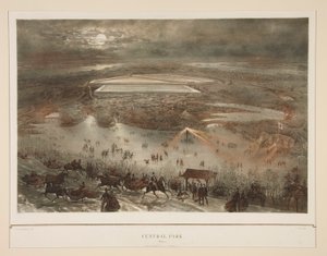 Central Park (Winter) by Julius Bien