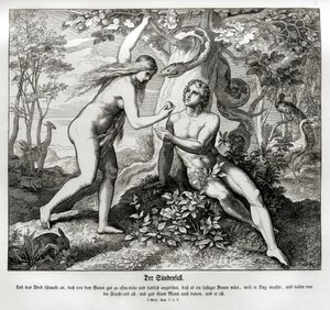 The Fall, Genesis