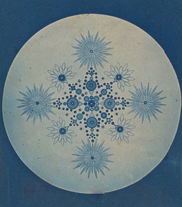 Frustules of Diatoms, ca. 1870 by Julius Wiesner.