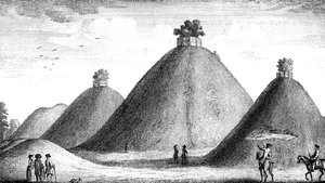 The Bartlow Hills, Raised Over the Slain