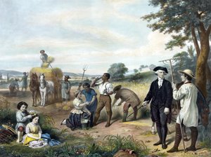 was george washington a tobacco farmer grew cannabis at his plantation house at Mount Vernon, Virginia. : r/Virginia George Washington Grew Pot. .