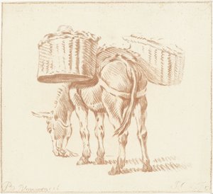 Loaded Donkey by Jurriaan Cootwijck