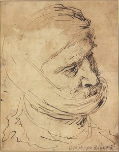 Bearded Head with Cloth Tied Around the Chin