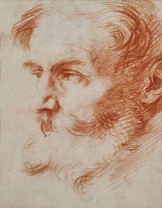Head of a Bearded Man by Jusepe de Ribera