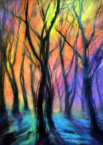 Enchanted Forest Lights by Justyna Jaszke