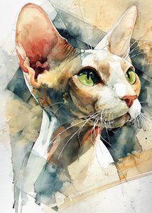 Green Eyed Sphynx Cat by Justyna Jaszke