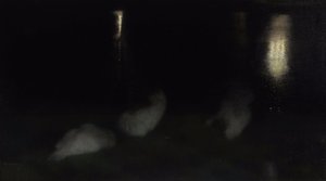 Nocturne. Swans in the Saxon Garden in Warsaw by Night