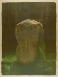 Female Nude Back on Green Cloth by Käthe Kollwitz