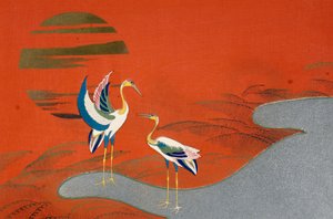 Birds at Sunset on Lake