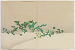 Flowers of a Hundred Worlds: Seven Herbs of Early Spring