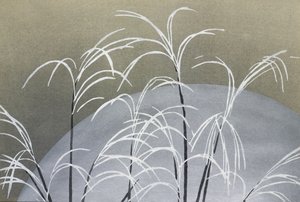 Frost from Momoyogusa