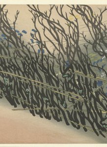 Hedge with Autumn Flowers