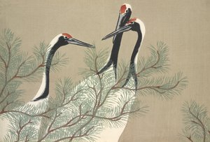 Tsuru, from Momoyo-gusa