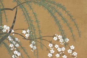 Yanagi Sakura, from Momoyo-gusa