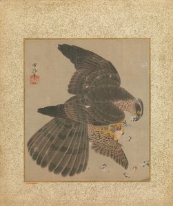 Album of Hawks and Calligraphy, 17th-18th century by Kanô Yôboku Tsunenobu