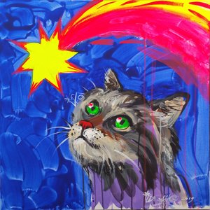 Curious Cat Star Gazing by Kanat Ibragimov