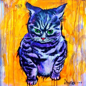 Grumpy Purple Cat by Kanat Ibragimov