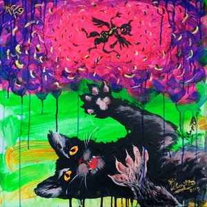 Playful Black Cat Fantasy