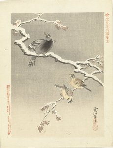 Three Birds on Snowy Branch (Flower and Bird Sketches by Kano Tsunenobu) by Kano Tsunenobu